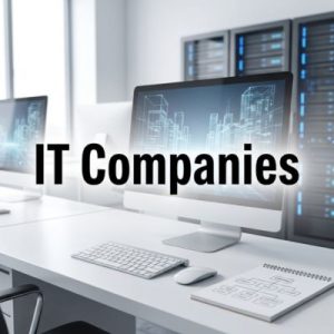 How leading IT companies structure their domains