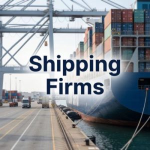 Lessons from top-performing Shipping Firms' websites