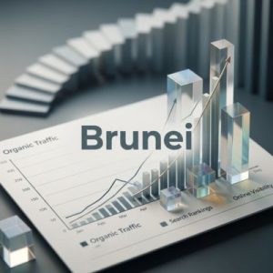 SEO and visibility benefits of the right domain in Brunei