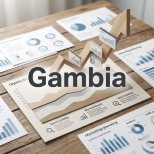 SEO and visibility benefits of the right domain in Gambia