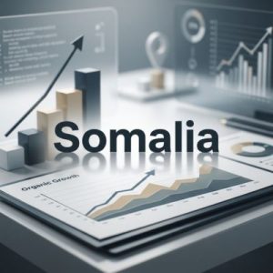 SEO and visibility benefits of the right domain in Somalia