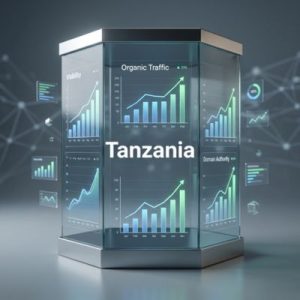 SEO and visibility benefits of the right domain in Tanzania