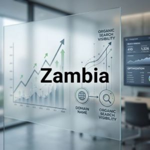 SEO and visibility benefits of the right domain in Zambia