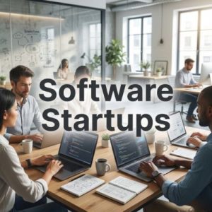 Successful Software Startups using strong domains
