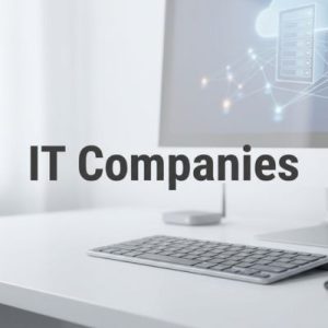Traditional domains used by IT companies