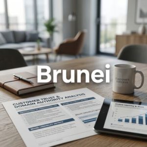 What customers expect from business domains in Brunei
