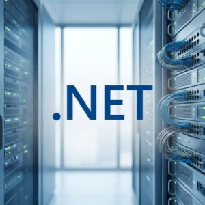 What is a .NET Domain