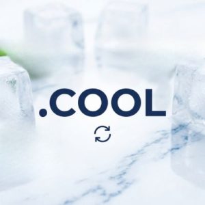When to Renew Your .COOL Domain