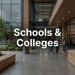 Why Schools & Colleges businesses need the right domain strategy