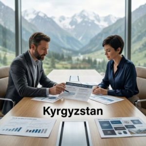 What customers expect from business domains in Kyrgyzstan